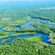 Image for article titled 1,000-year-old farming secrets could save the Amazon rainforest